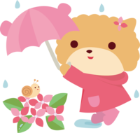 Pomeranian (dog) rainy season-umbrella-cute animal