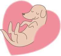 Dog and fluffy heart