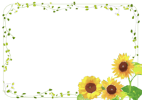 Fashionable sunflower and vine frame / summer
