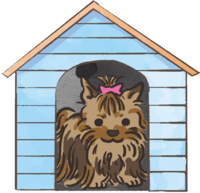 Yorkshire terrier (kennel) Cute dog