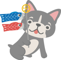 French-Cute animal with a bulldog (dog) with a carp streamer