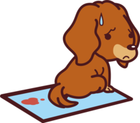 ミニチュア-ダックスフンドが病気で血尿-かわいい犬