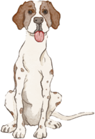 イングリッシュ-ポインター(座り姿)犬のリアルかっこいい