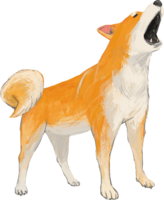 Shiba Inu barking-real handwriting style