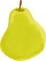 洋梨イラスト／秋
