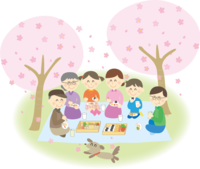 A family of 6 having a cherry blossom viewing party