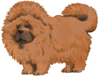 Tibetan Mastiff (standing) Dog's real cool