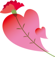 心形和红色康乃馨