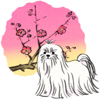 匕年多奶酪和风(梅)-2018干支插图横向