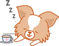 眠るパピヨン-犬