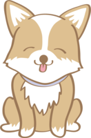 Cute Corgi (smile) dog