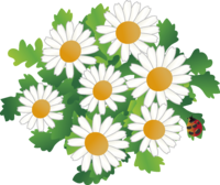 North Pole flowers and ladybugs-winter December-June