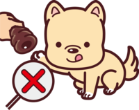 Chocolate bread is damme for dogs-cute