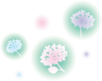 緑の光の中に色んな色のかわいいアジサイ