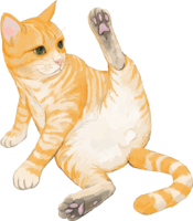 猫(老虎图案的杂种混合)抬起一只脚停止