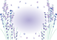 心安らぐラベンダーの花夏のおしゃれ水彩画風フレーム枠