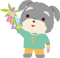 Miniature-Schnauzer (dog) Tanabata-Cute animal