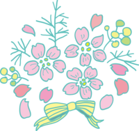 樱花春天的花瓣插图(粉笔)