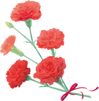 Fashionable and beautiful red carnation illustration (upper left)