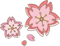 Fancy cherry blossom petals