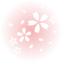 欣克光中白色樱花飘逸