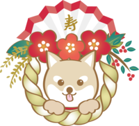 Shimenawa Japanese style 2018 Shiba Inu is cute
