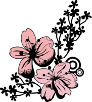 Cool cherry blossoms-Spring illustration (pink & black)
