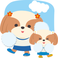 Shih Tzu (dog) cute athletic meet (white group cheering party) animals