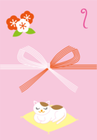 Cute Noshi with a cat