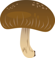 Shiitake-Vegetables