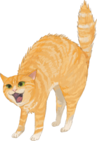 Cat (mixed hybrid with tiger pattern) Angry real