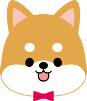 Shiba Inu (cute face)