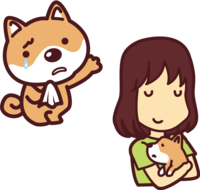 Shiba Inu waving to foster parents and puppies-Cute dog