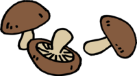 Three shiitake mushrooms
