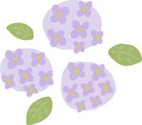 紫色のかわいいアジサイの花と葉っぱ