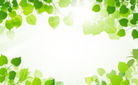 若草色の植物-背景フレーム枠(緑-グリーン)