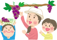 ぶどう狩りをする子どもとお母さんイラスト／秋