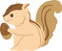 Squirrel and acorn illustration / Autumn