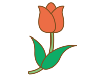 Simple red tulip