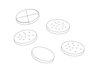 Coloring Material-Cookies and Biscuits