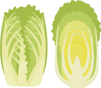 Chinese cabbage cut in half