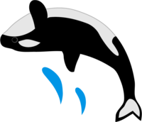 Somersault killer whale