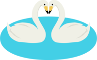 Two swans