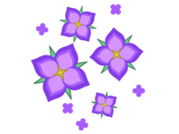 ポップなタッチの紫色の紫陽花