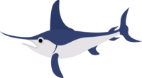 Marlin tuna (swordfish)