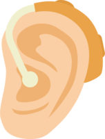 耳と補聴器