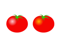 トマト-野菜