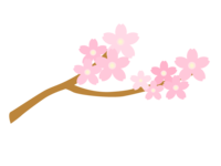 Sakura-Spring