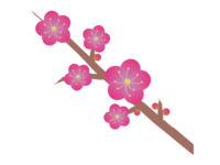 Plum blossom (with branches)