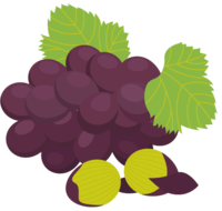 Grape-Kyoho